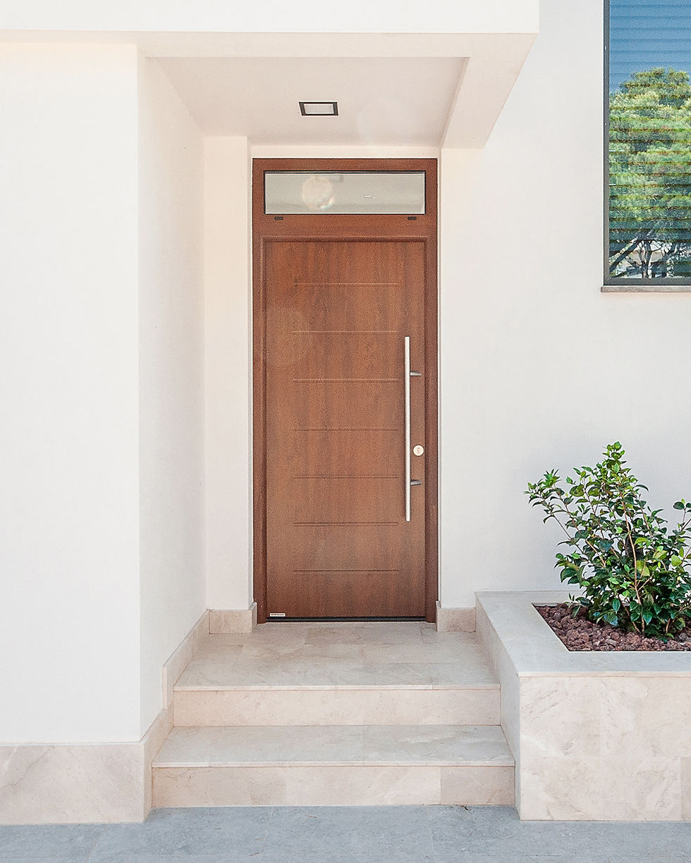 modern contemporary front door style