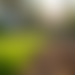 Reduce Water Bills with Expert Turf Removal