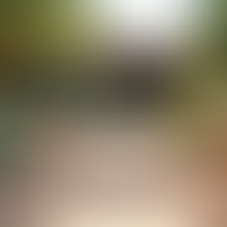 Transform Your Yard with Xeriscaping Benefits