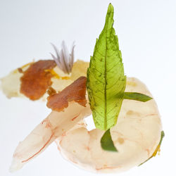 005-Rocco-Vistamare_IMG_4318