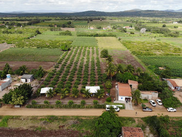 Embrapa Semiárido amplia soluções para o Vale do São Francisco e projeta novos desafios para a agricultura da região