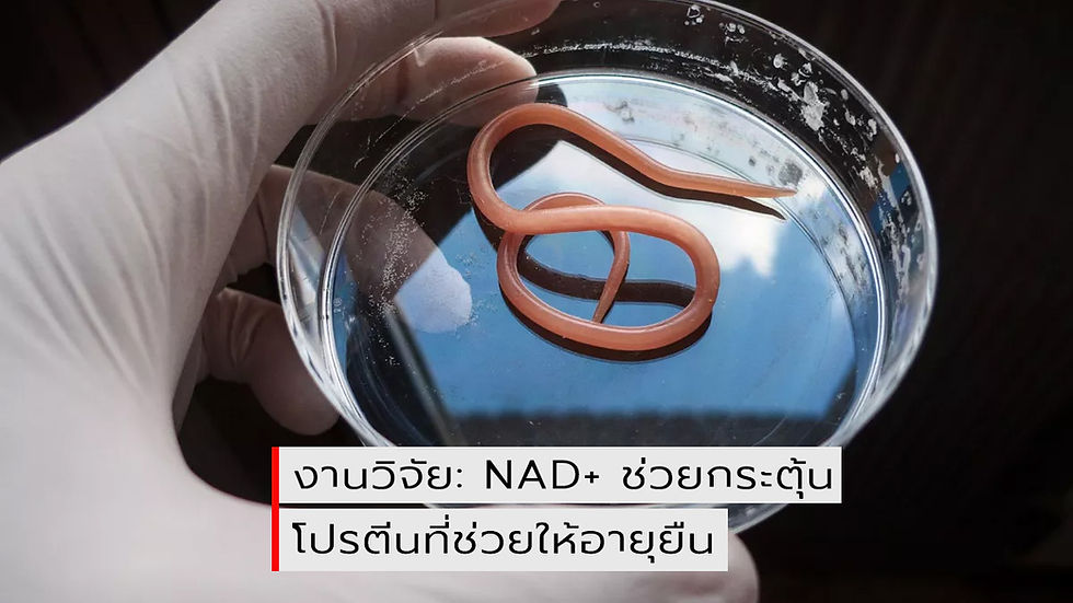 NAD+ ช่วยกระตุ้นโปรตีนที่ช่วยให้อายุยืน