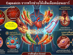 Capsaicin: สารลับในพริกที่อาจเป็นกุญแจสำคัญสู่หลอดเลือดที่อ่อนเยาว์