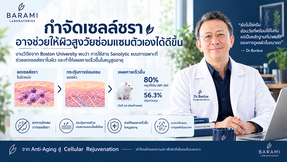 การกำจัดเซลล์ชรา - Senescent cells ออกจากผิวได้ ช่วยให้ผิวกลับมาซ่อมตัวเองได้?