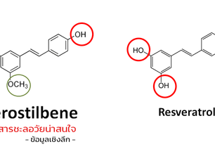 PTEROSTILBENE - ข้อมูลเชิงลึก... สารชะลอวัยน่าสนใจ