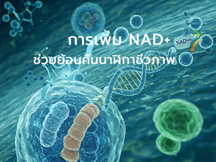การเพิ่ม NAD+ ช่วยย้อนคืนนาฬิกาชีวภาพ - Circadian Rhythm