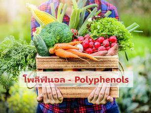 อาหารที่มีสารโพลีฟีนอล (Polyphenols) สูง และมีความสำคัญอย่างไร?