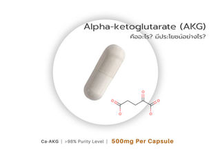 Alpha-ketoglutarate (AKG) คืออะไร? ... มีประโยชน์อย่างไร?
