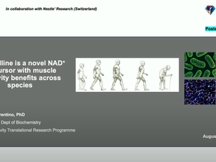 Trigonelline สารตั้งต้นของ NAD+ ตัวใหม่ที่เสถียรกว่า NR และ NMN