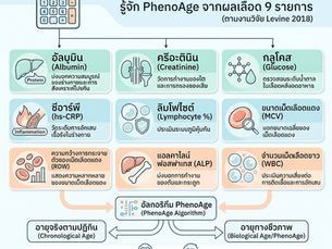 ผลเลือด 9 รายการที่จะบอก PhenoAge ที่คุณควรจะรู้