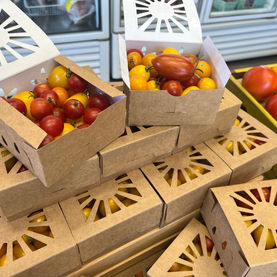 Cherry Tomatoes.jpeg