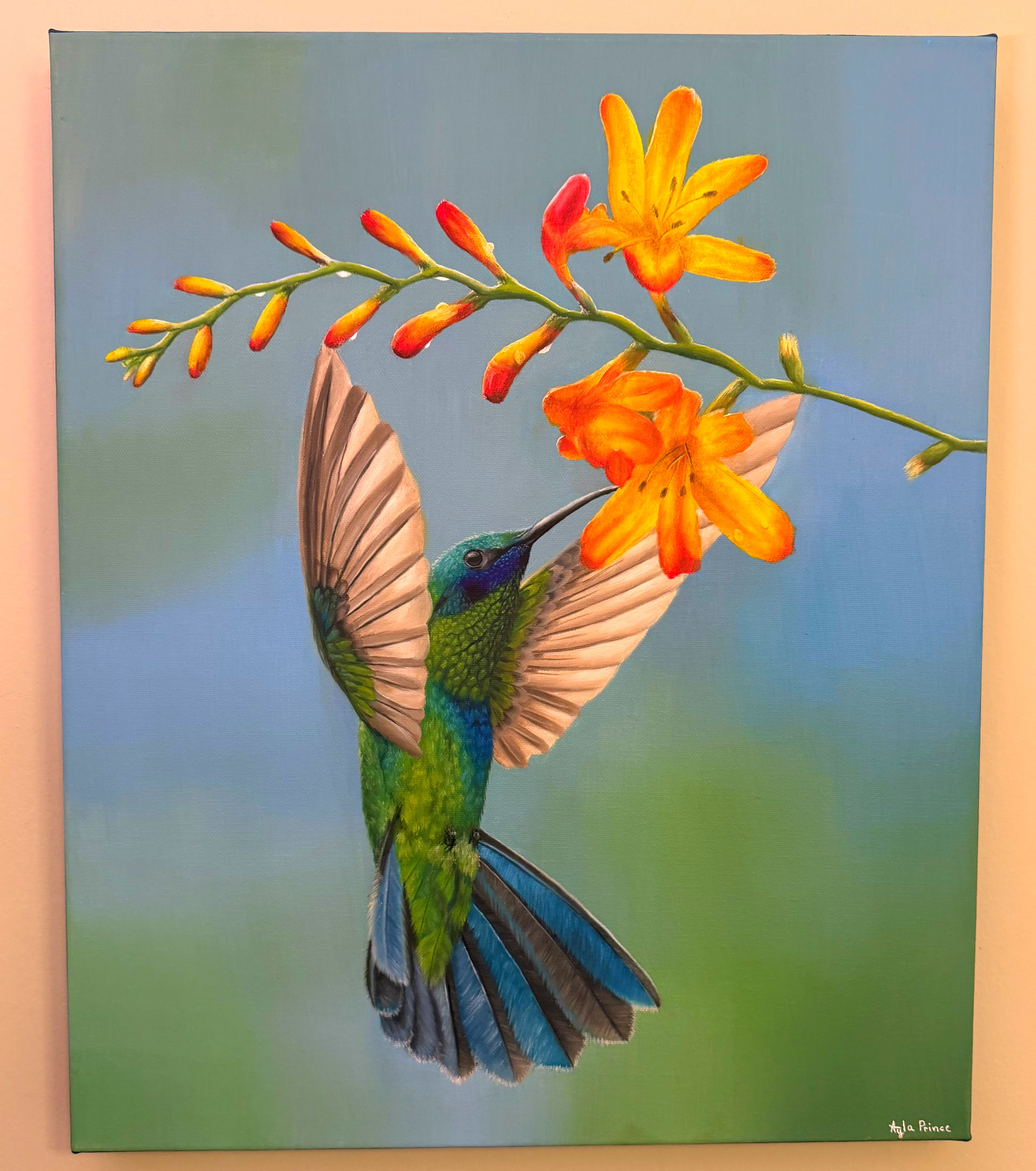 Hummingbird #1