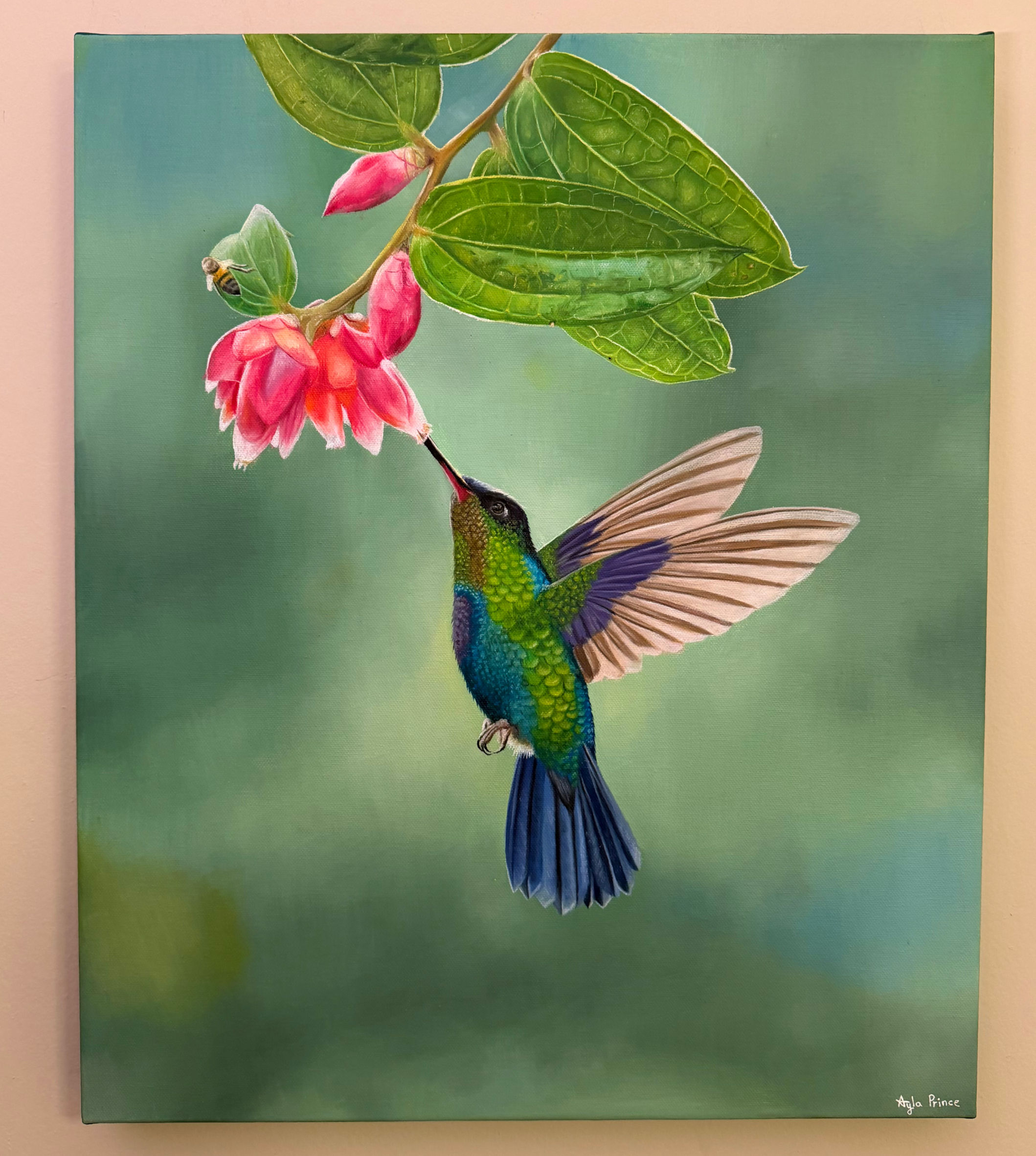 Hummingbird #2