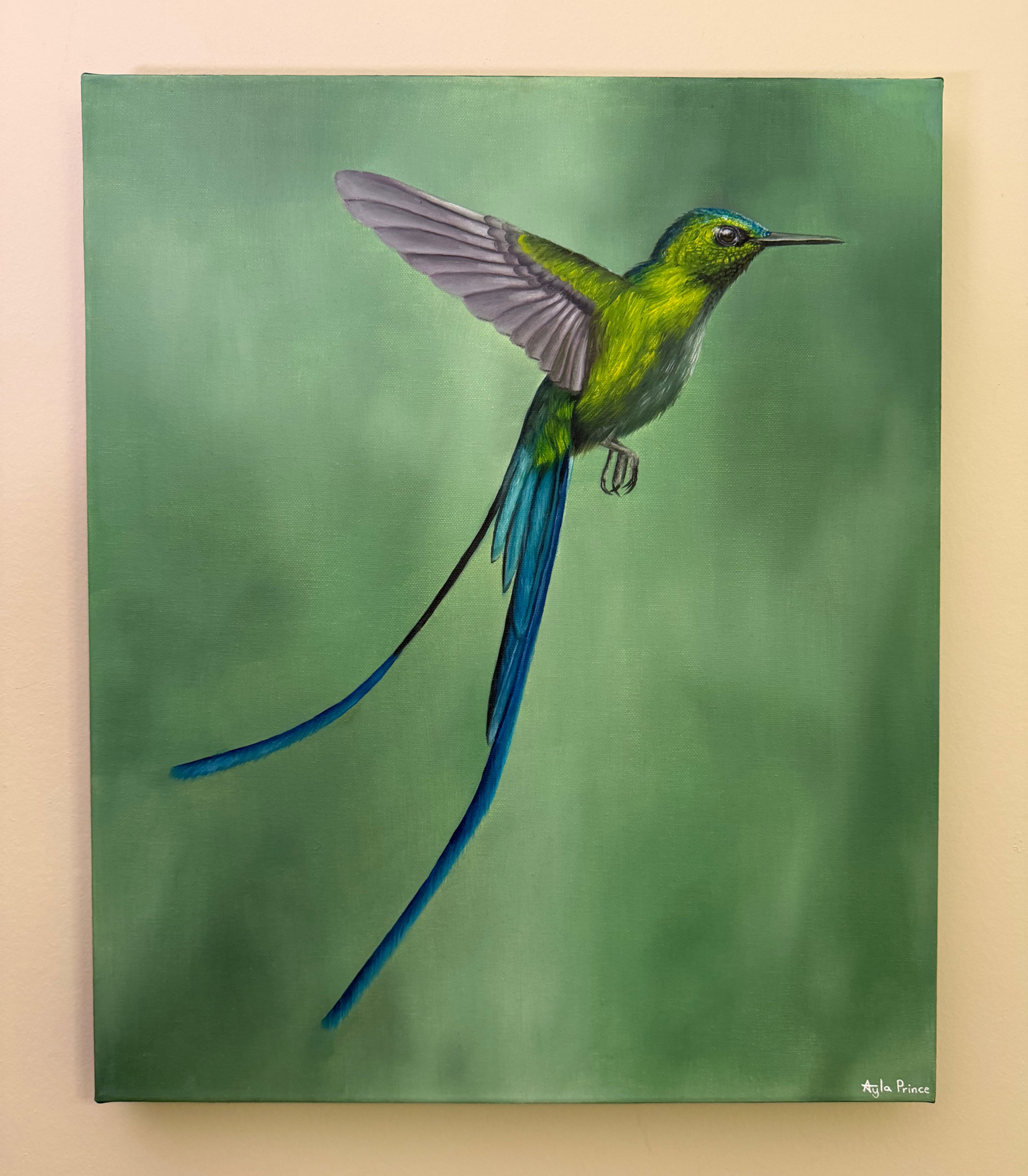 Hummingbird #3