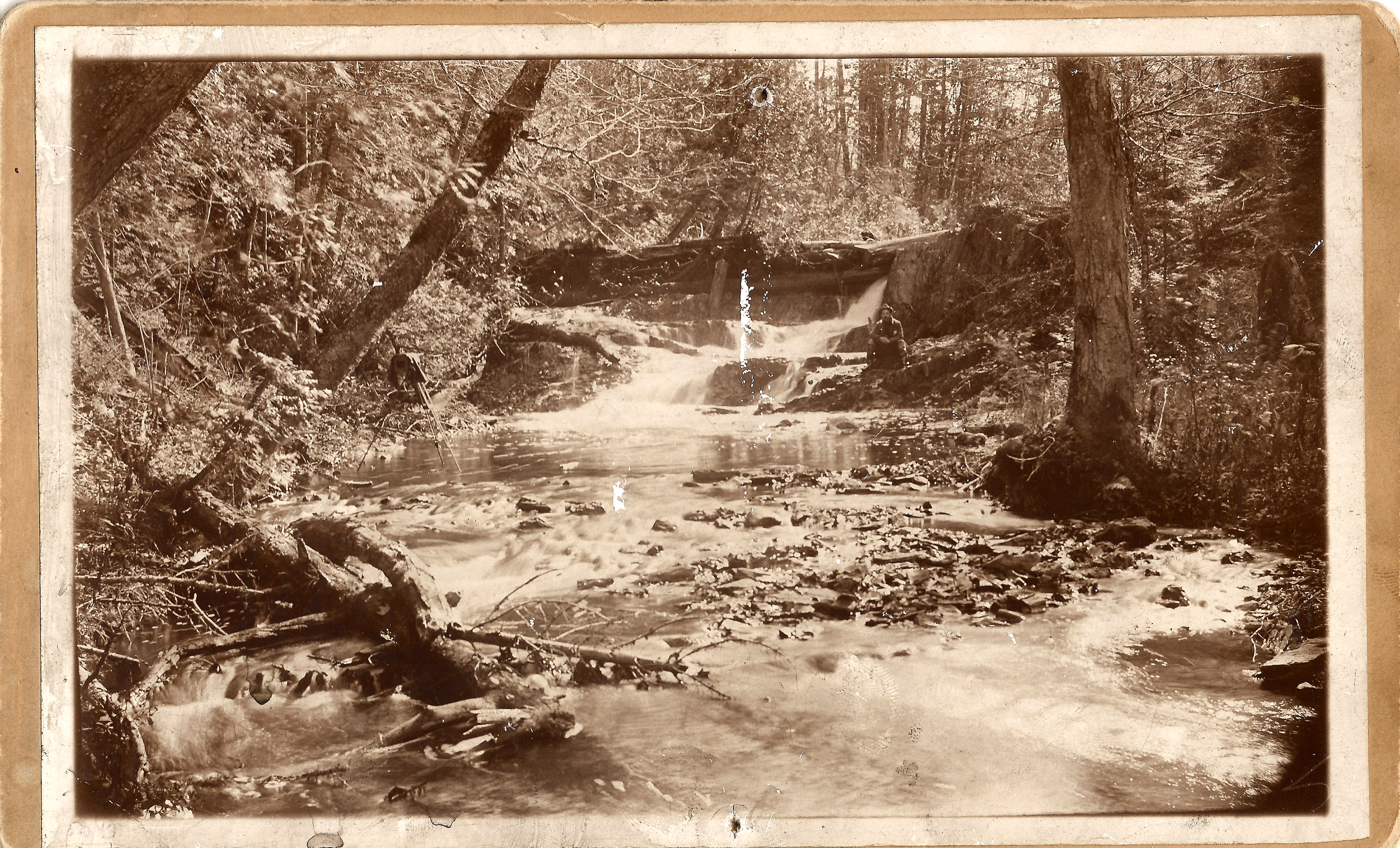 Cooks Brook Dam