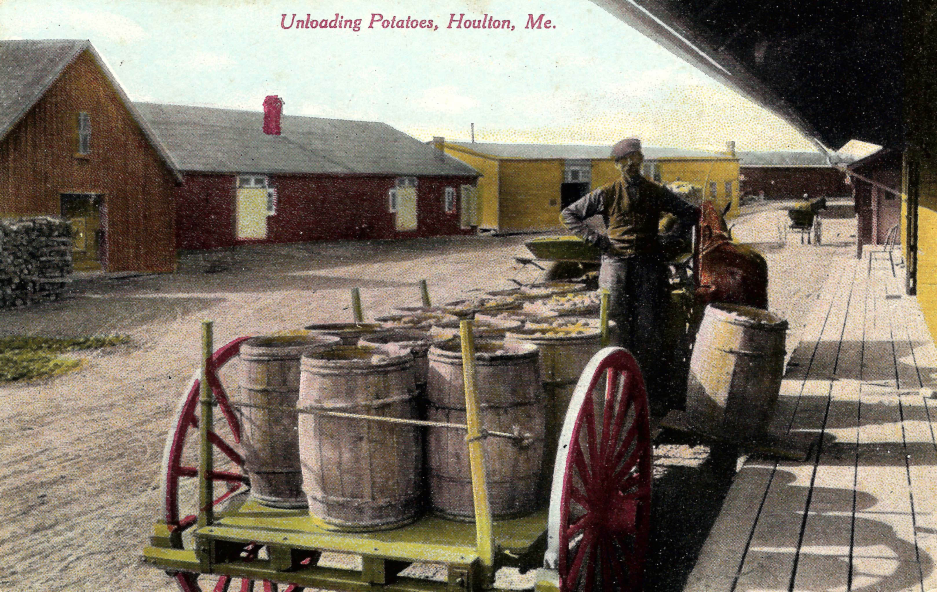 Unloading Potatoes