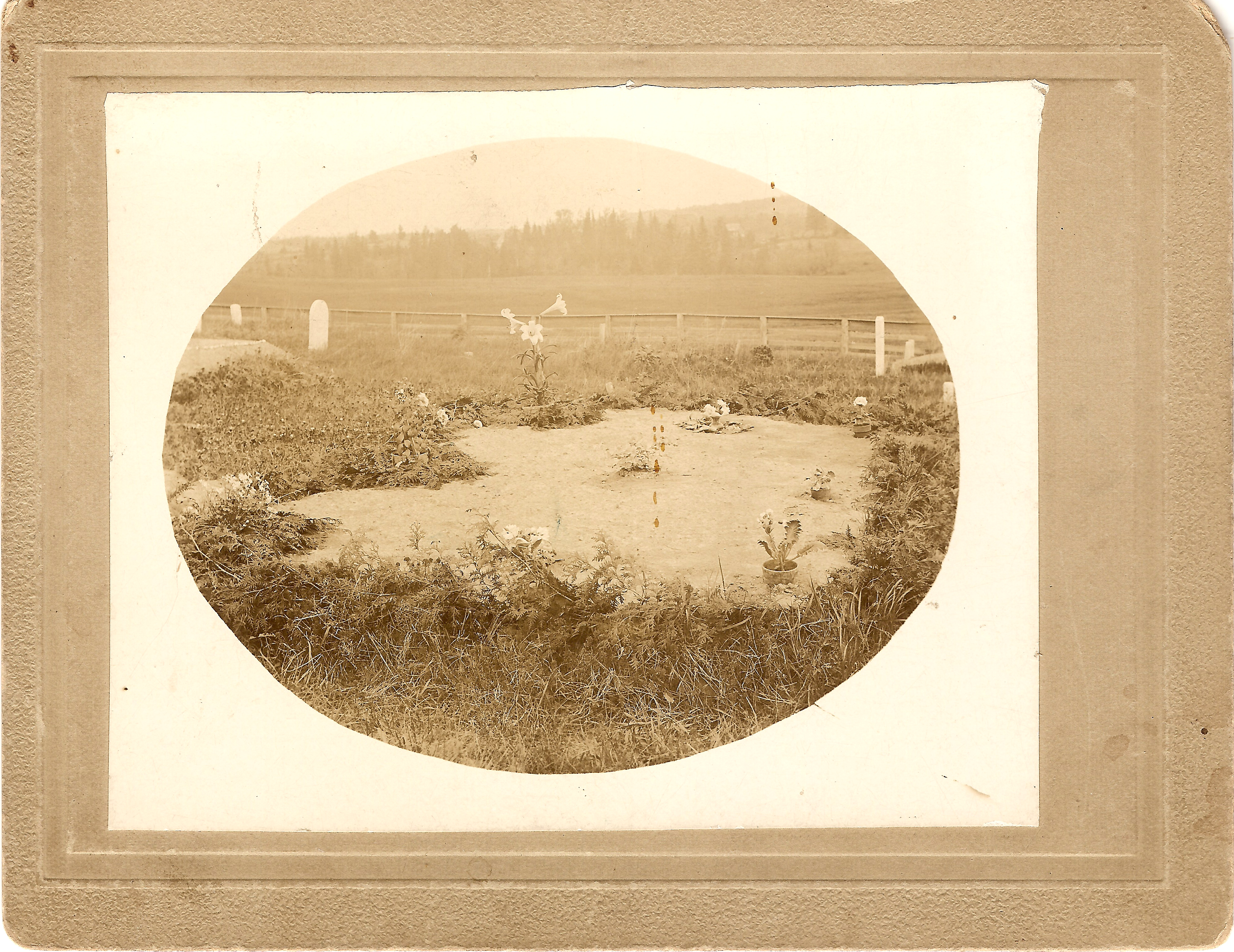 Grave Yard Houlton