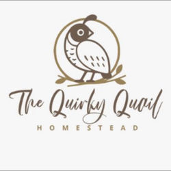 Open Quail: Best Manchurian