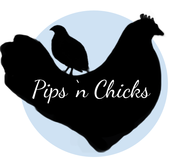 Pips 'n Chicks LLC logo