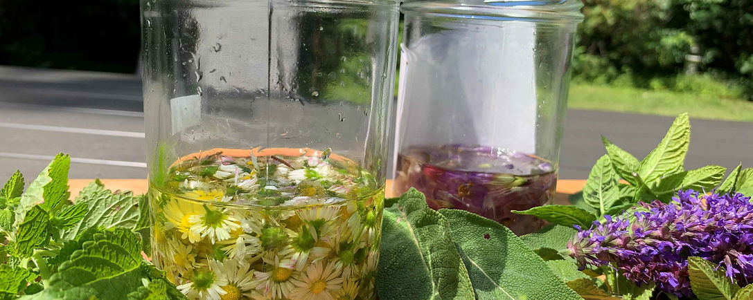IMG_2597_compressed.jpg