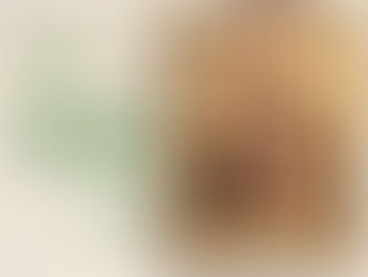 São Gonçalo do Amarante festeja padroeiro