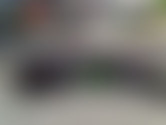 Diáconos vão a Roma para participar de Jubileu