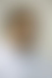 Diác. Diomar Praxedes de Góes JeováFilho