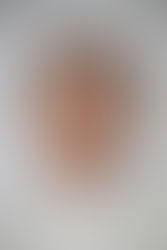 Diác. José Bezerra de Araújo