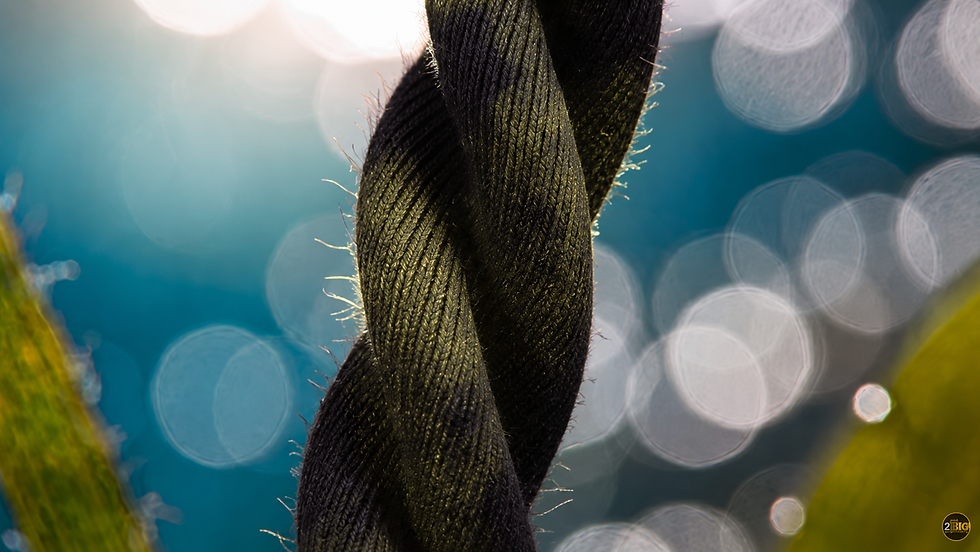 Close-up of a twisted dark rope or cable against a blue bokeh background, with blurred green edges and a small 2BIG logo.