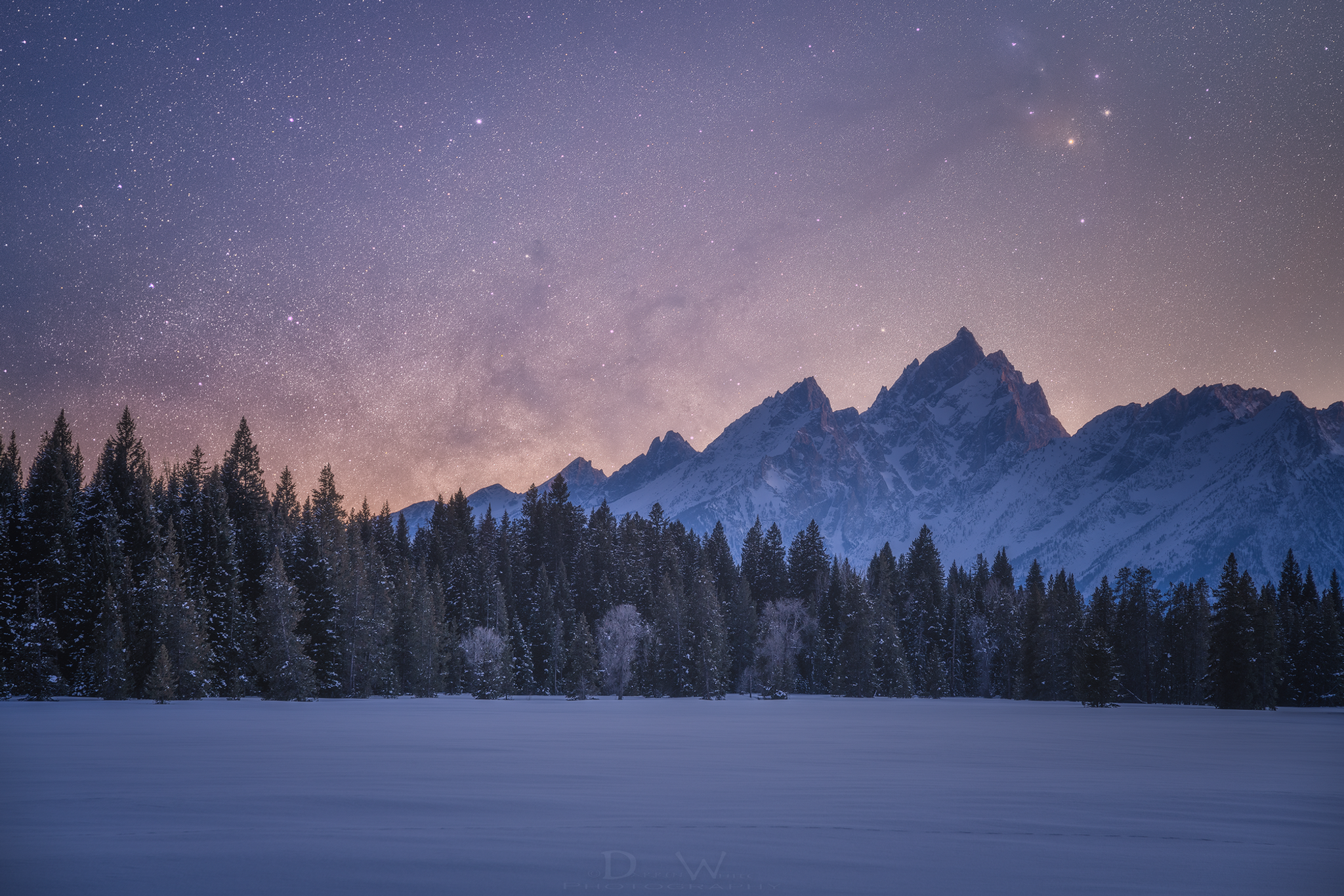 Winter's Grip - Fine Art Canvas Gallery Wrap Print