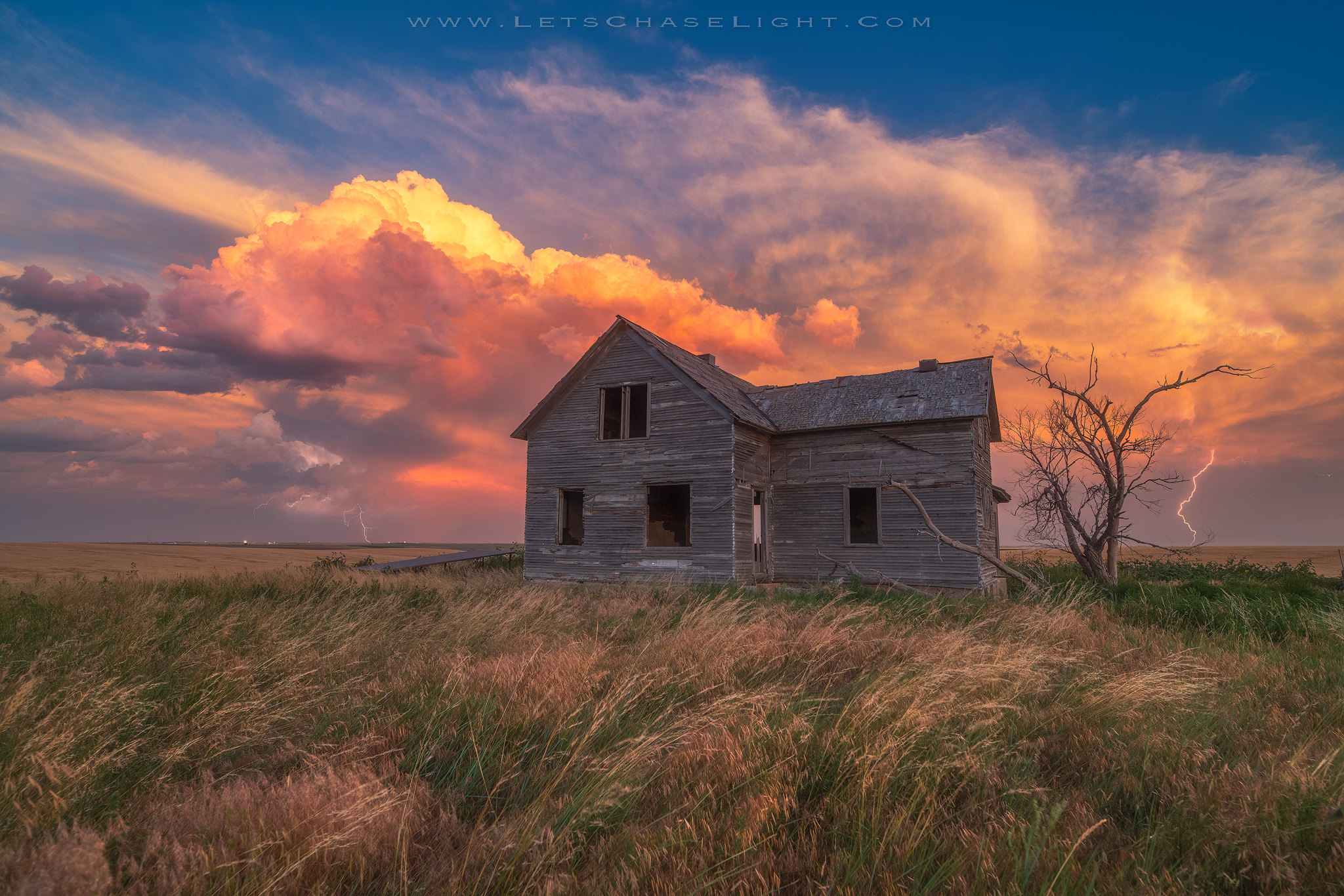 Double Trouble - Fine Art Canvas Gallery Wrap Print