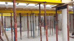 A217E19C-3FE6NICE FF