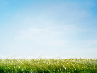 Homenagem póstuma à Revda. IEED Ded. S.S. Chuny Márcia Maria Freitas Araújo