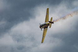 Royal Canadian Air Force