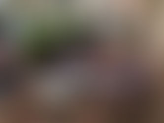 En Benidorm también se come cocido...