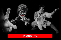 KUNG FU 2.jpg