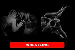 WRESTLING.jpg