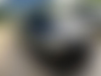 Outdoor Car Detailing in Richmond - What it’s like!