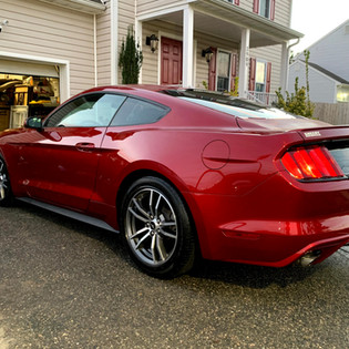 mustang.jpeg