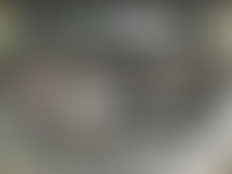 Engine Cleaning: Rva Auto Detail