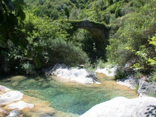 Surrounding Nature