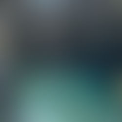 Manatees hautnah in Florida erleben 