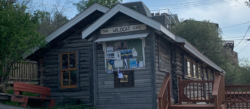 Le Wildcat café convoité par les artistes