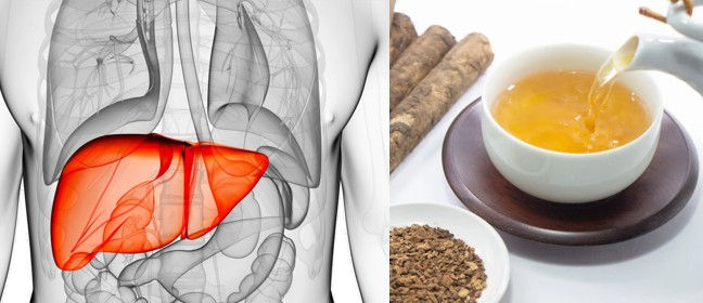 Lever thee van Gezond Wereldnieuws (5 kruiden)