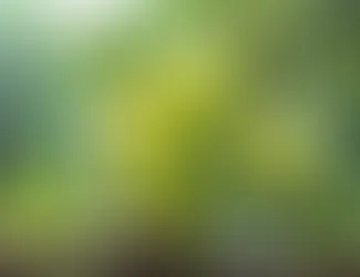 Voordelen Amla bes (Ayurvedisch)