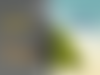 Co2 (kooldioxide) Is super belangrijk voor elke leven op aarde. Het verminderen van co2 is een goedkoop wapen om mensen te vernietigen.