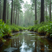 Exploring the Mystery of the Skunk Ape