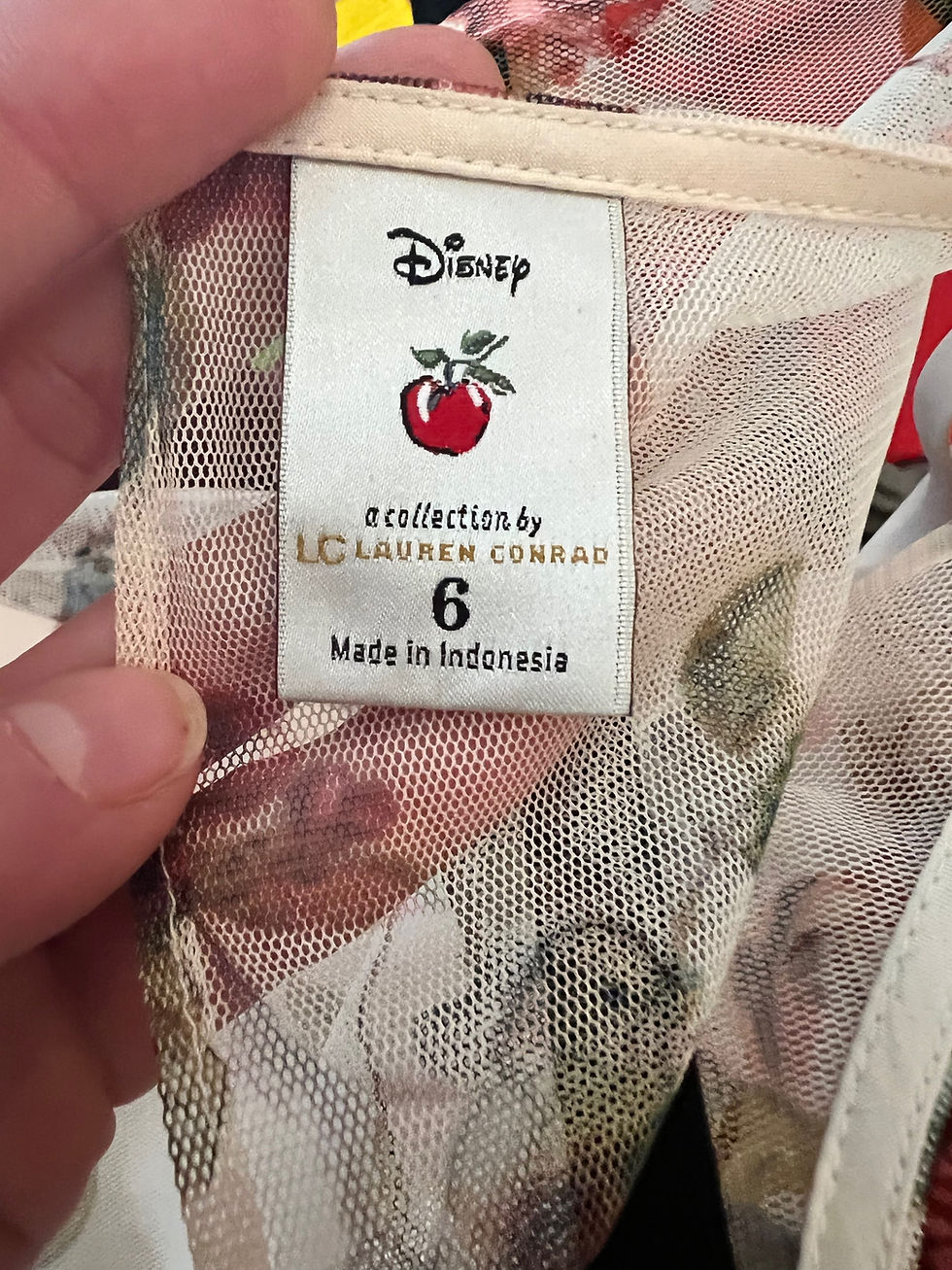 Thumbnail: 🍎NWOT DISNEY SNOW WHITE LAUREN CONRAD BIRD SPARROW SWEETHEART DRESS FIT FLARE 6