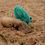 Thumbnail: Turquoise Vishnu Ji Carving