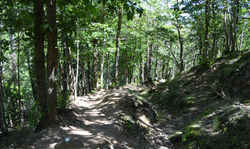DSC_0102_edited